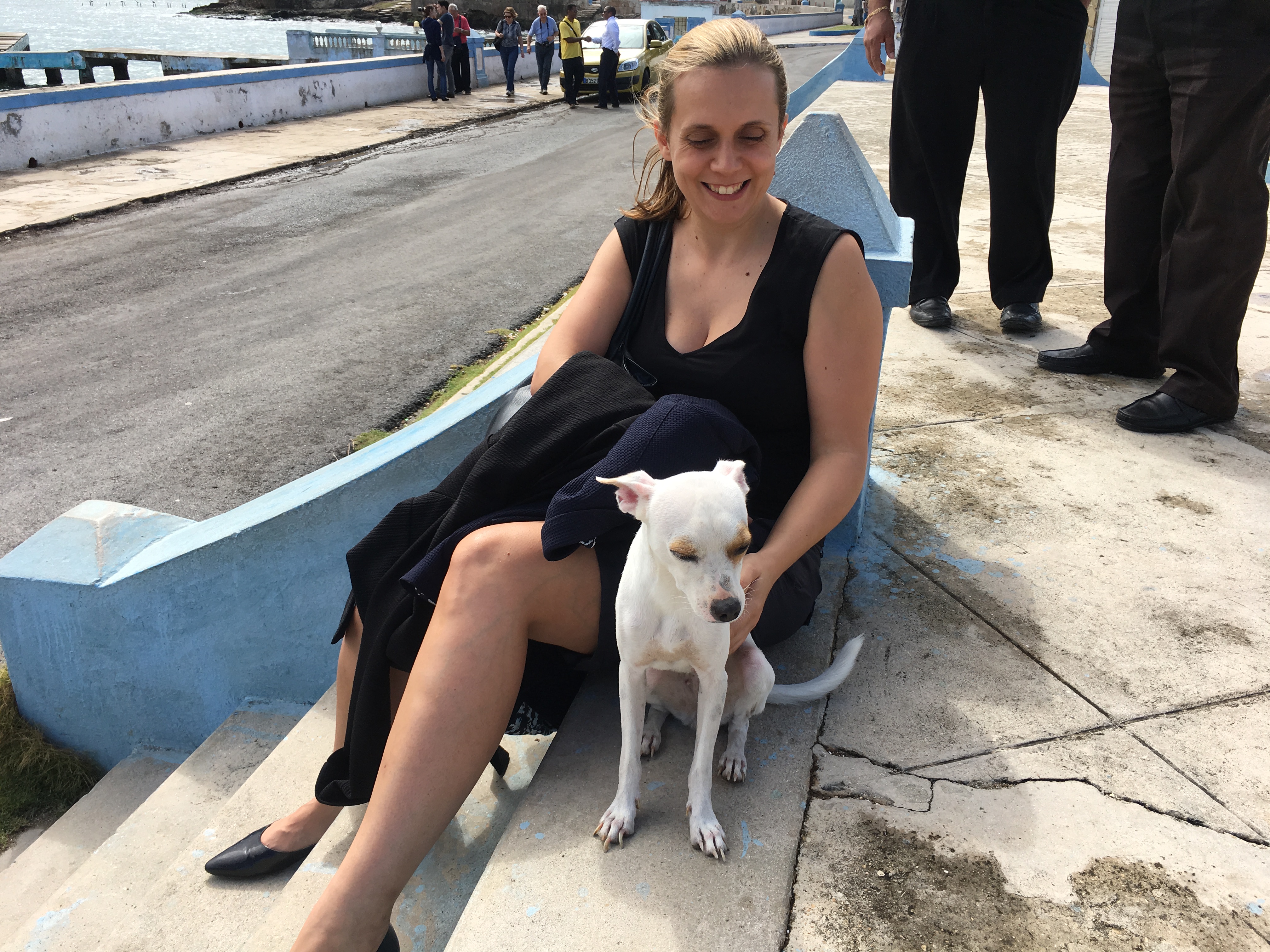 Cuba Lucy a street dog II